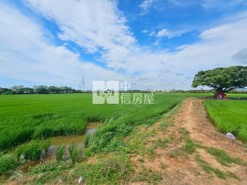 G503觀音都內分割農地房屋室內格局與周邊環境
