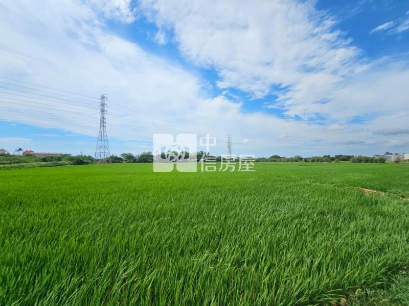 G503觀音都內分割農地房屋室內格局與周邊環境