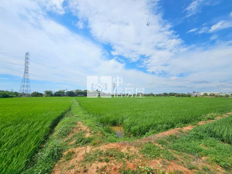 G503觀音都內分割農地房屋室內格局與周邊環境
