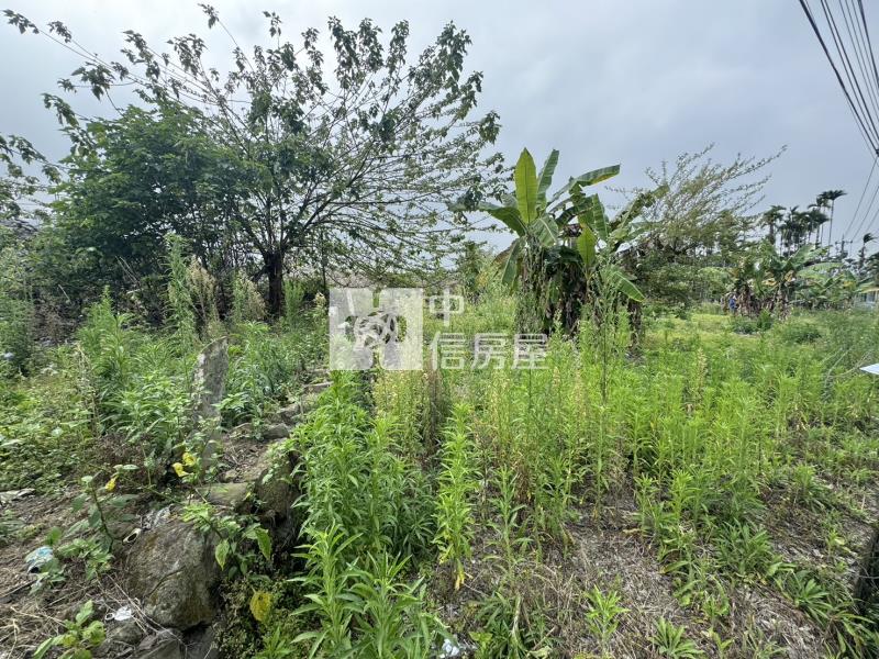 溪頭農地房屋室內格局與周邊環境