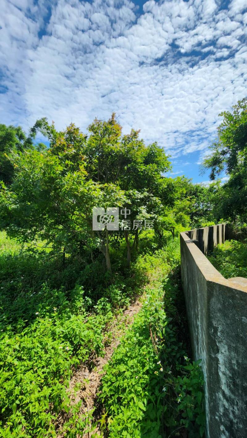 苗栗嘉盛段創新豪墅房屋室內格局與周邊環境