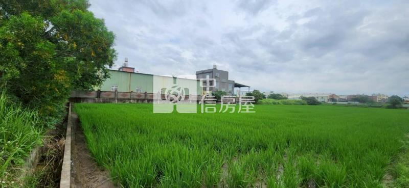 近新豐中小學超值合法農舍+廠房房屋室內格局與周邊環境