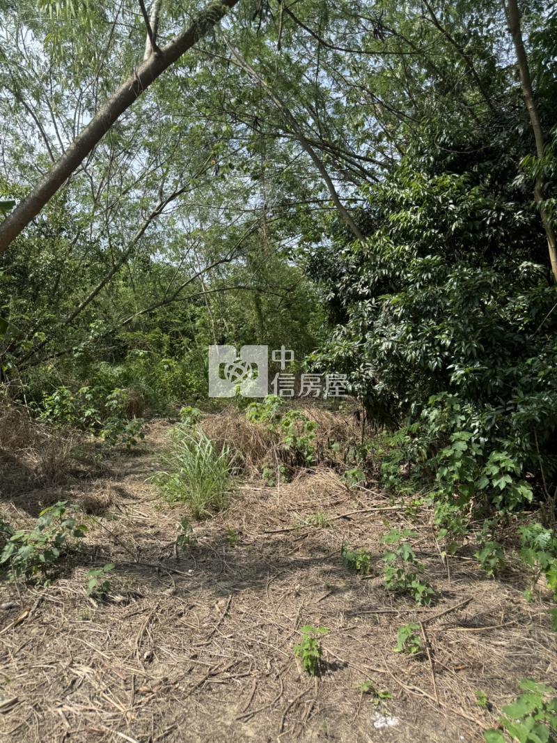 仁義潭都計農地房屋室內格局與周邊環境