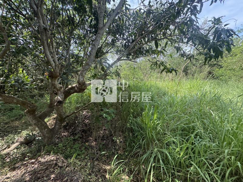 仁義潭都計農地房屋室內格局與周邊環境