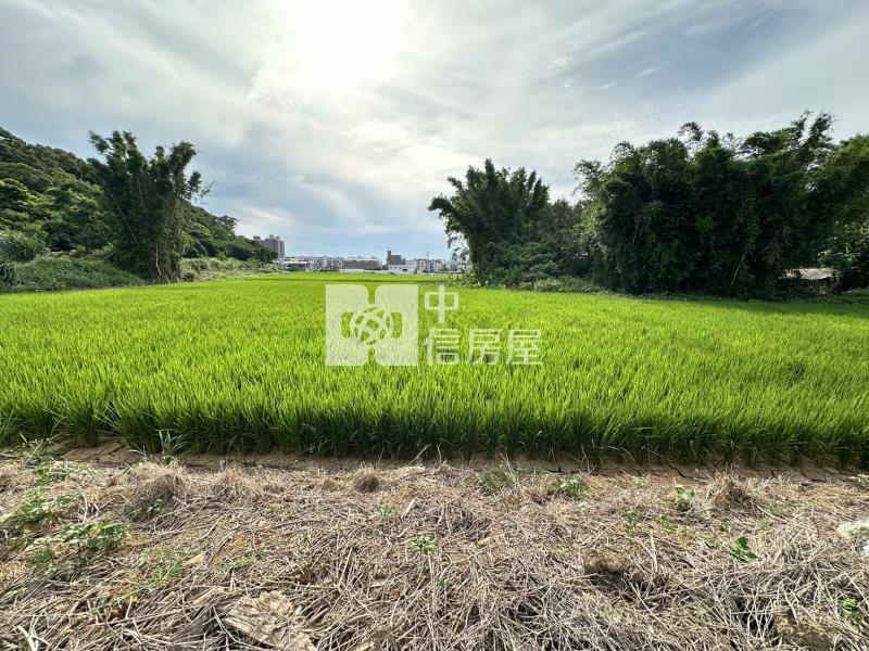 八德臨路20米都計內農地房屋室內格局與周邊環境