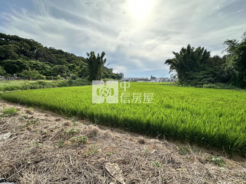 八德臨路20米都計內農地房屋室內格局與周邊環境