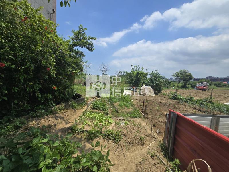 中大一路旁都內農房屋室內格局與周邊環境