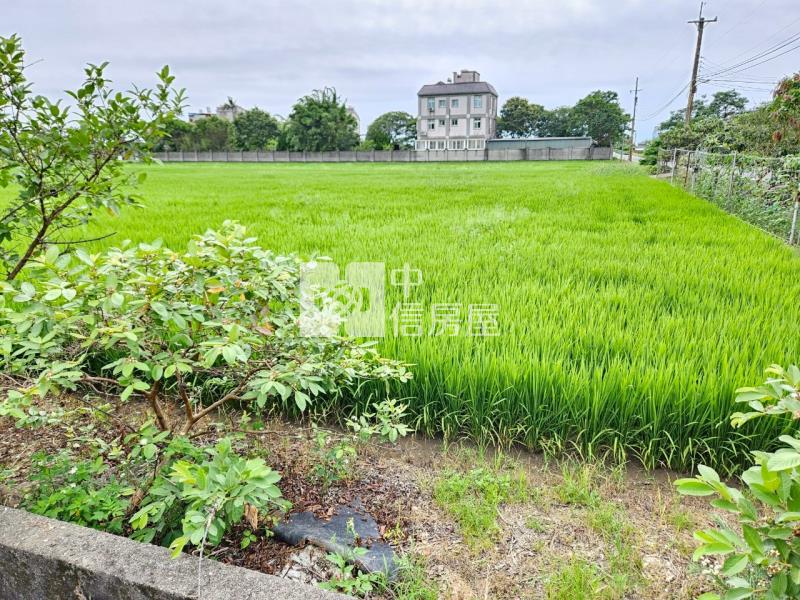 湖口王爺壟旁美田房屋室內格局與周邊環境
