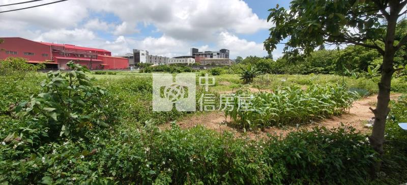 【安家】專任-近中壢好市多特農房屋室內格局與周邊環境