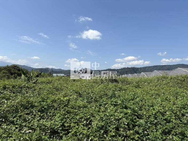 雙吉有塊地房屋室內格局與周邊環境