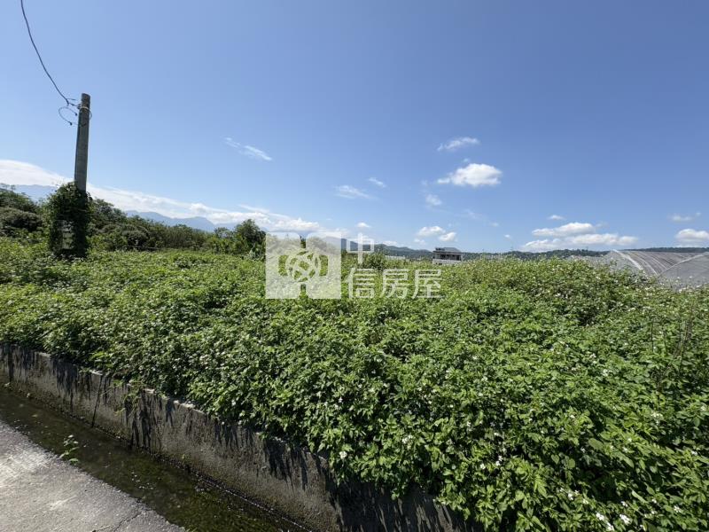 雙吉有塊地房屋室內格局與周邊環境