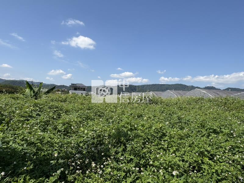 雙吉有塊地房屋室內格局與周邊環境