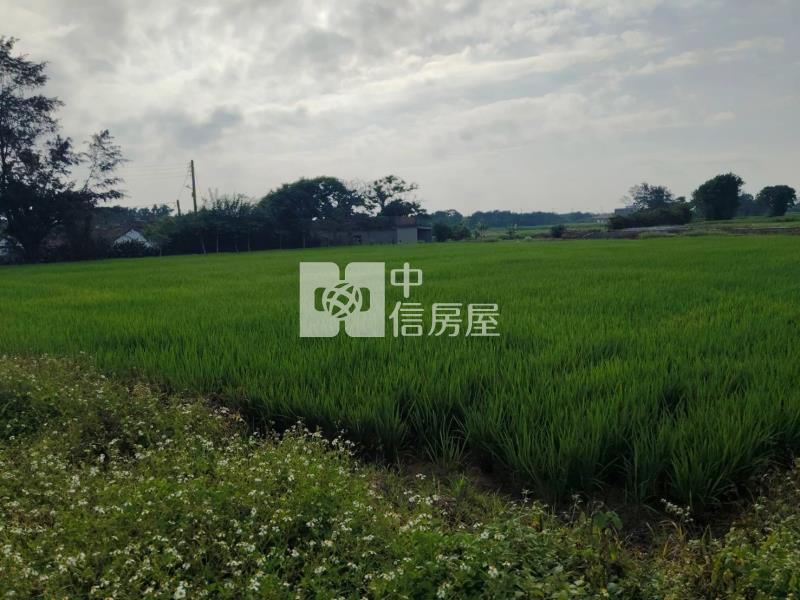 新屋北湖國小便宜農地房屋室內格局與周邊環境