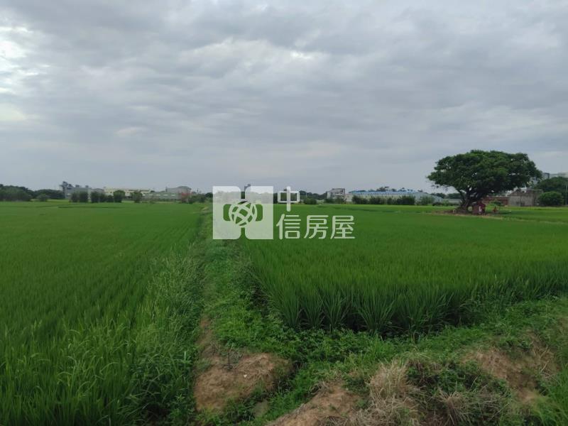 觀音高中都內農分割銷售房屋室內格局與周邊環境
