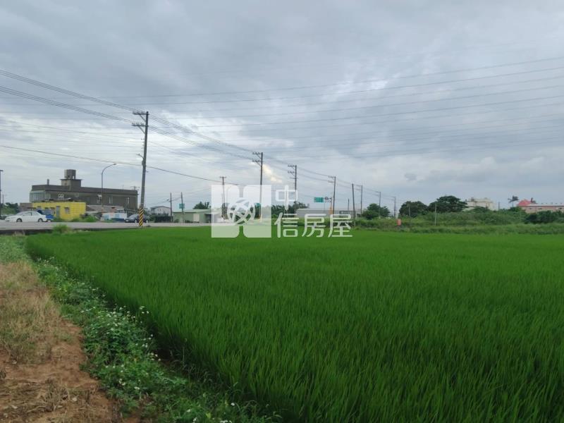 觀音高中都內農分割銷售房屋室內格局與周邊環境