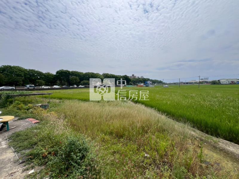 世賢路旁都計農地房屋室內格局與周邊環境
