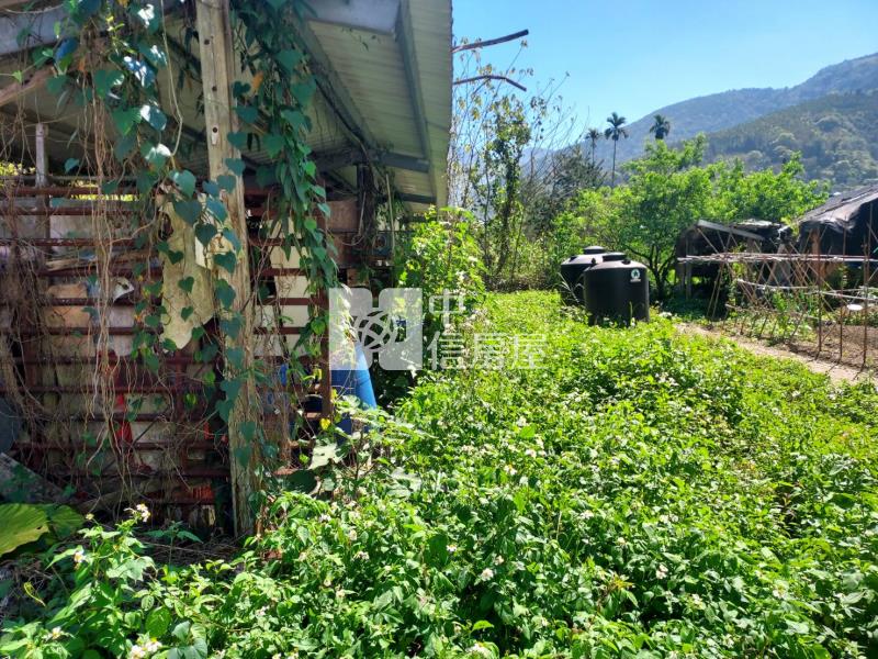 鯉魚潭丙建房屋室內格局與周邊環境