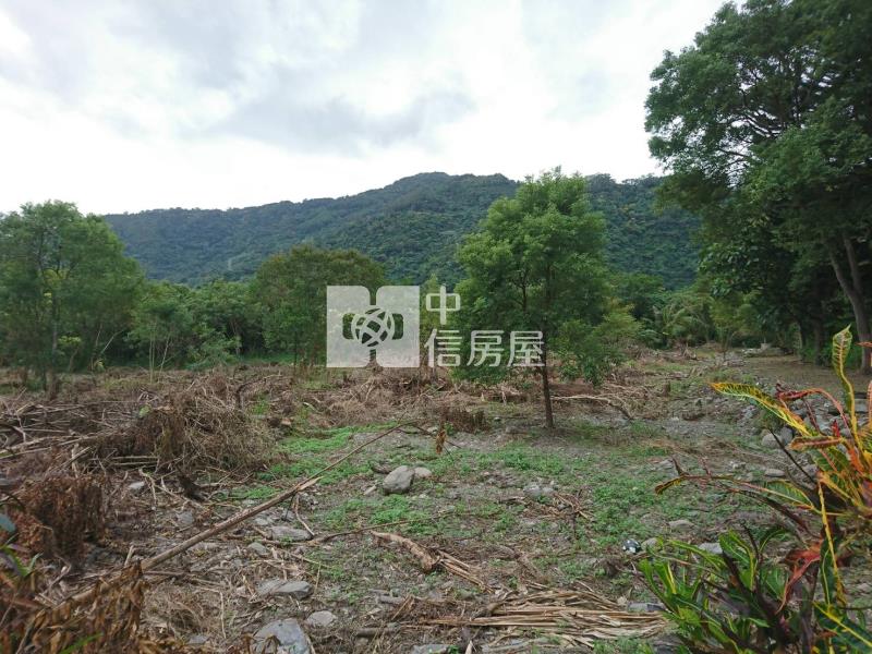 鹿野開心農場休閒民宿房屋室內格局與周邊環境