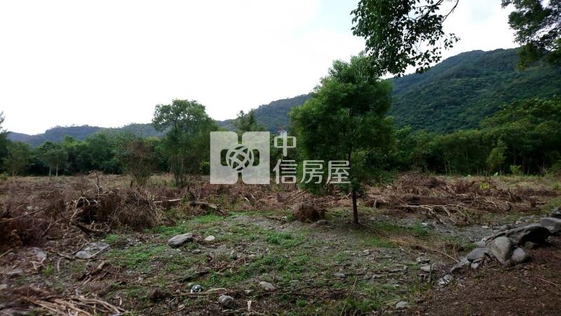 鹿野開心農場休閒民宿房屋室內格局與周邊環境
