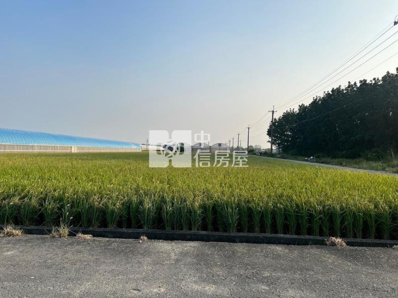 嘉義高鐵雙面路農地房屋室內格局與周邊環境