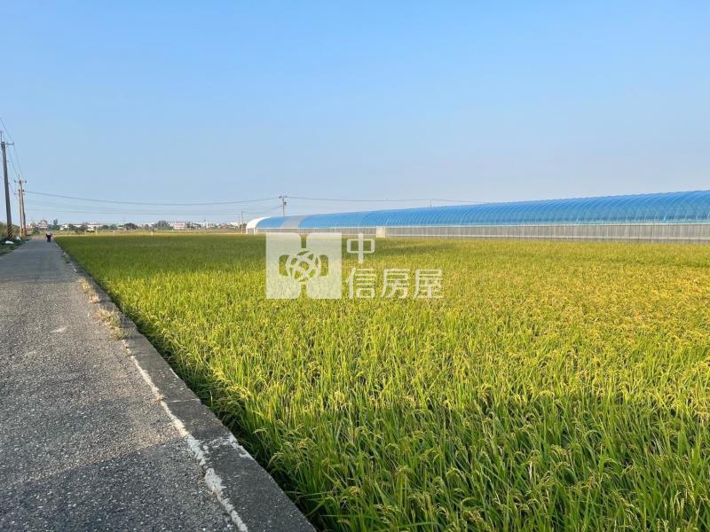 嘉義高鐵雙面路農地房屋室內格局與周邊環境
