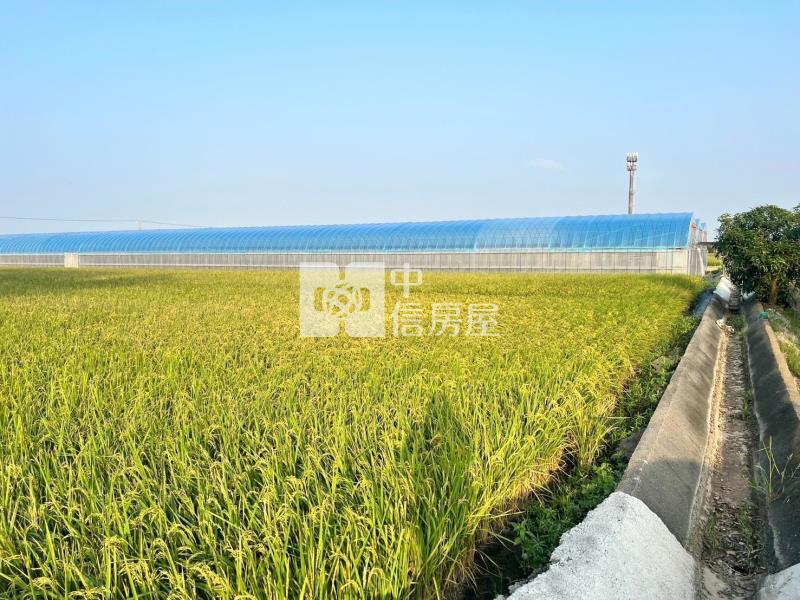 嘉義高鐵雙面路農地房屋室內格局與周邊環境