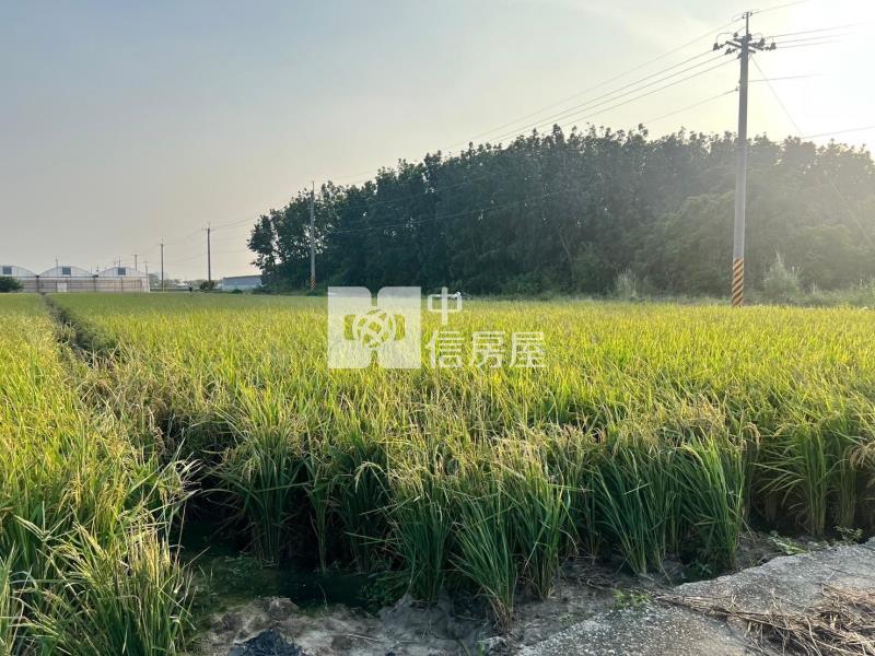 嘉義高鐵雙面路農地房屋室內格局與周邊環境