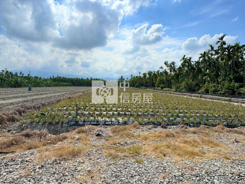 潮州四春便宜農地房屋室內格局與周邊環境