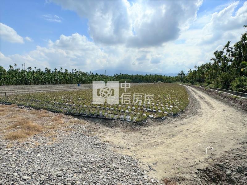 潮州四春便宜農地房屋室內格局與周邊環境