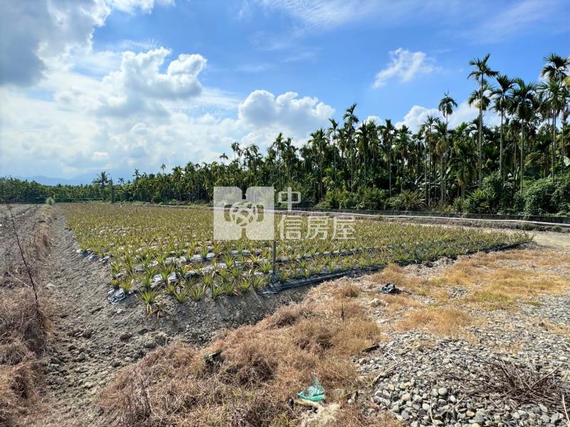 潮州四春便宜農地房屋室內格局與周邊環境