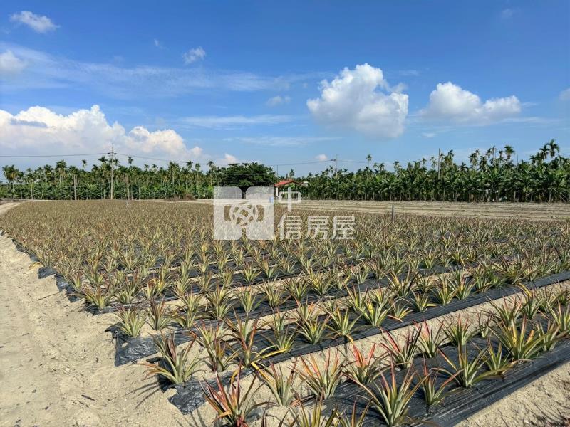 潮州四春便宜農地房屋室內格局與周邊環境