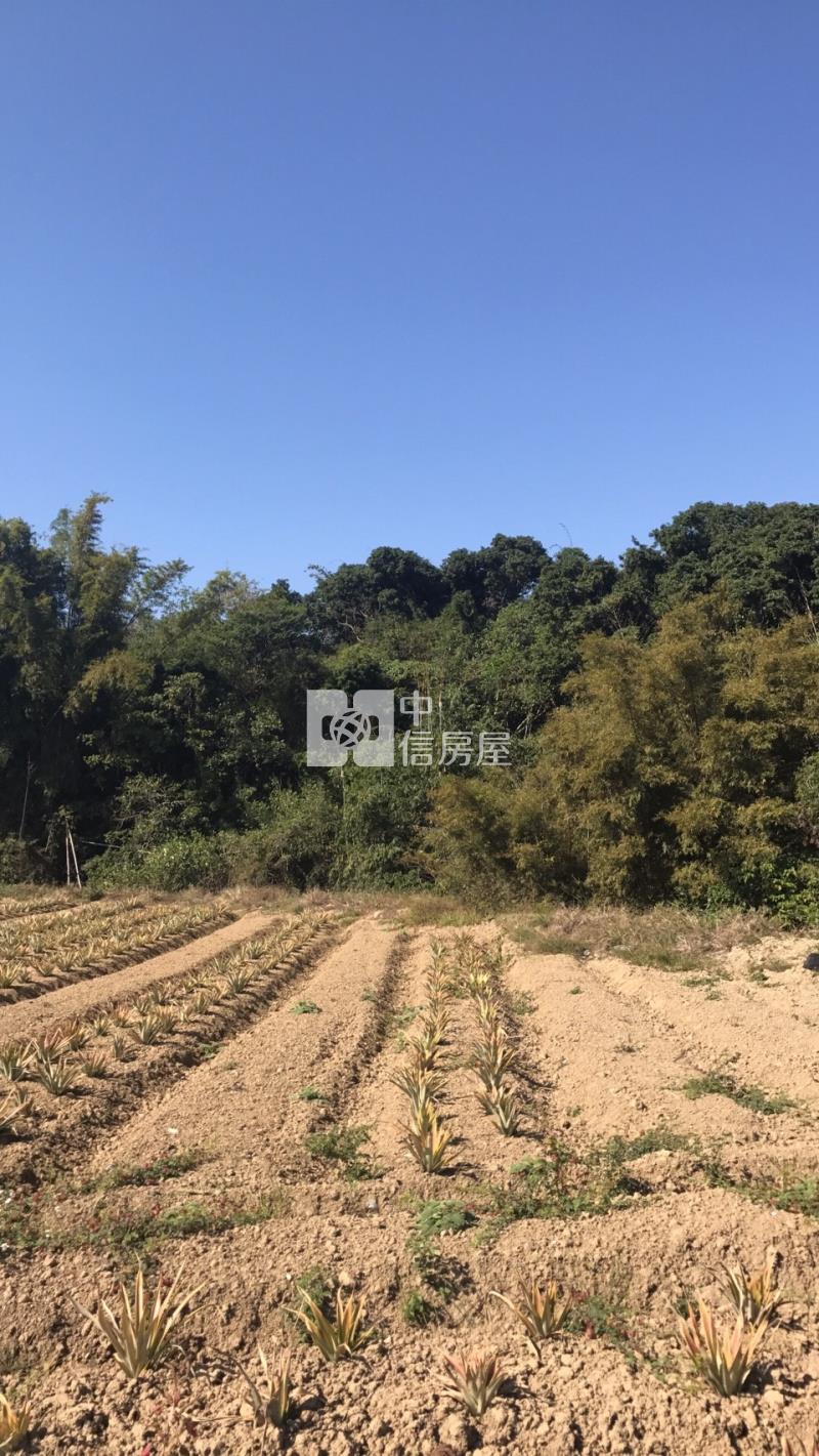 關廟便宜農地房屋室內格局與周邊環境