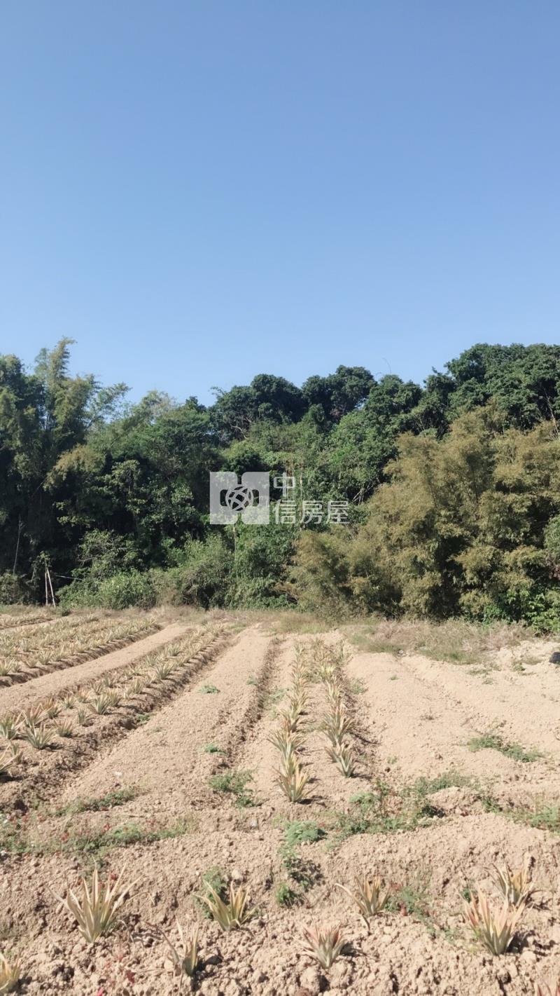關廟便宜農地房屋室內格局與周邊環境