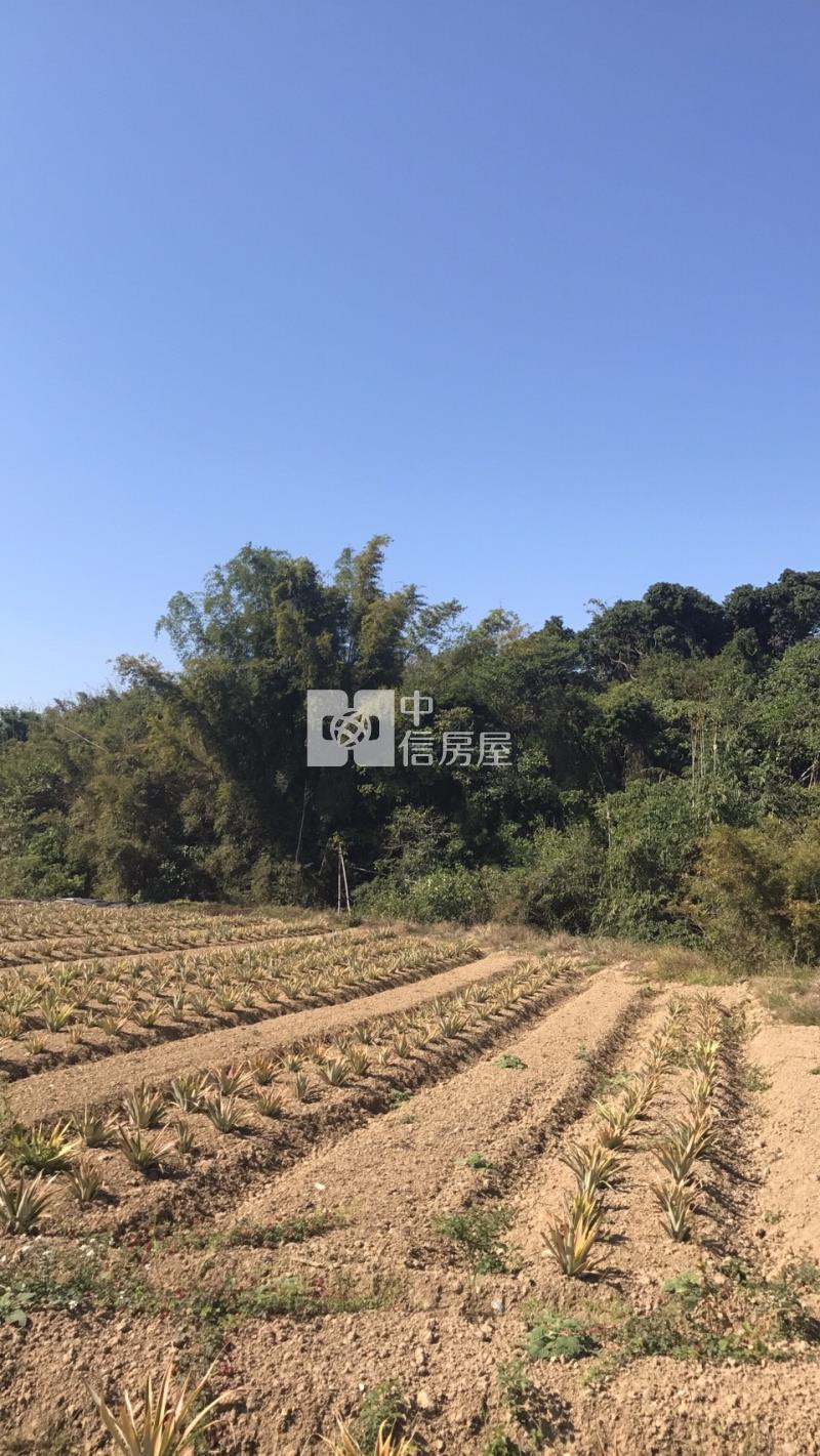 關廟便宜農地房屋室內格局與周邊環境