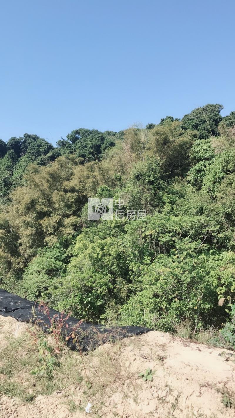 關廟便宜農地房屋室內格局與周邊環境