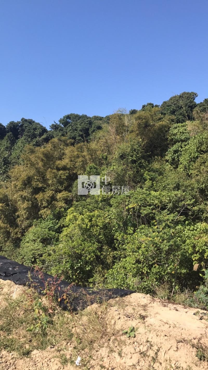 關廟便宜農地房屋室內格局與周邊環境