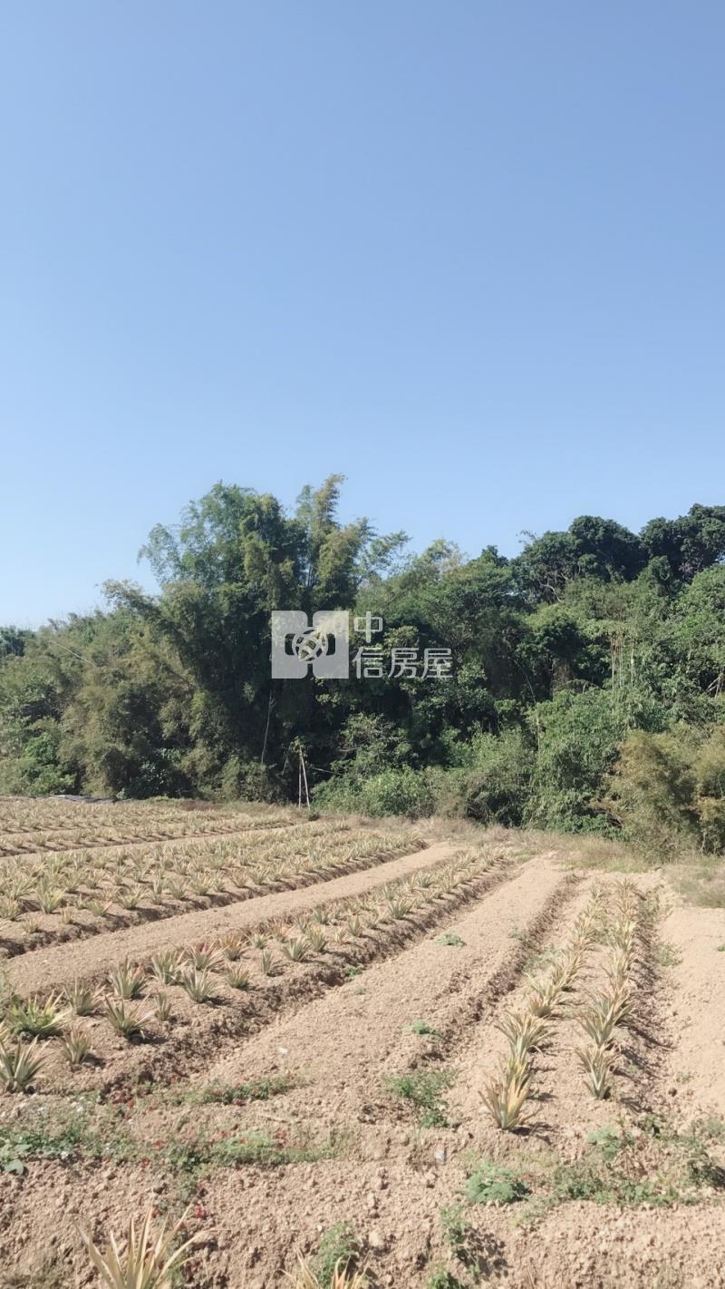 關廟便宜農地房屋室內格局與周邊環境