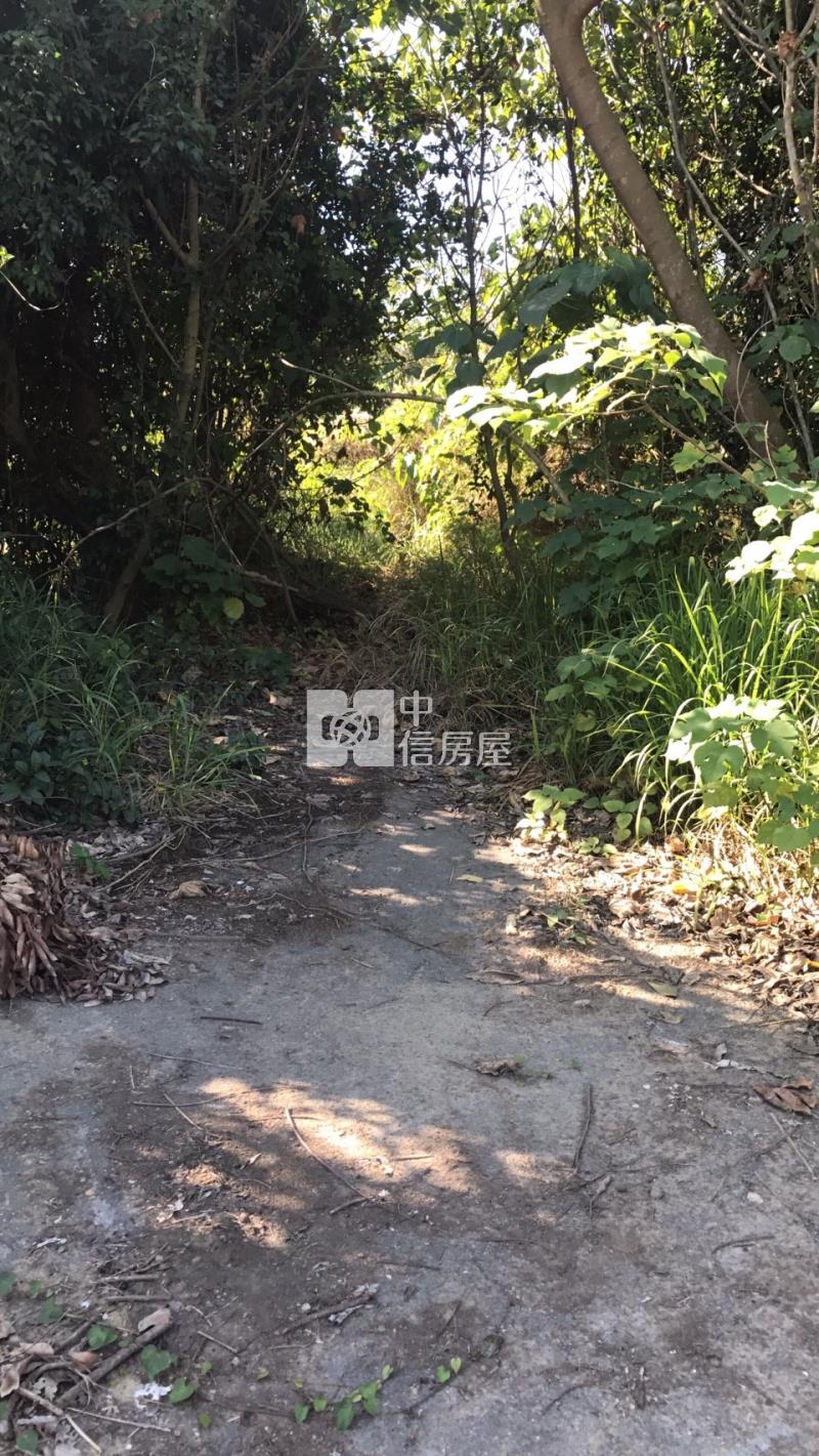 關廟便宜農地房屋室內格局與周邊環境