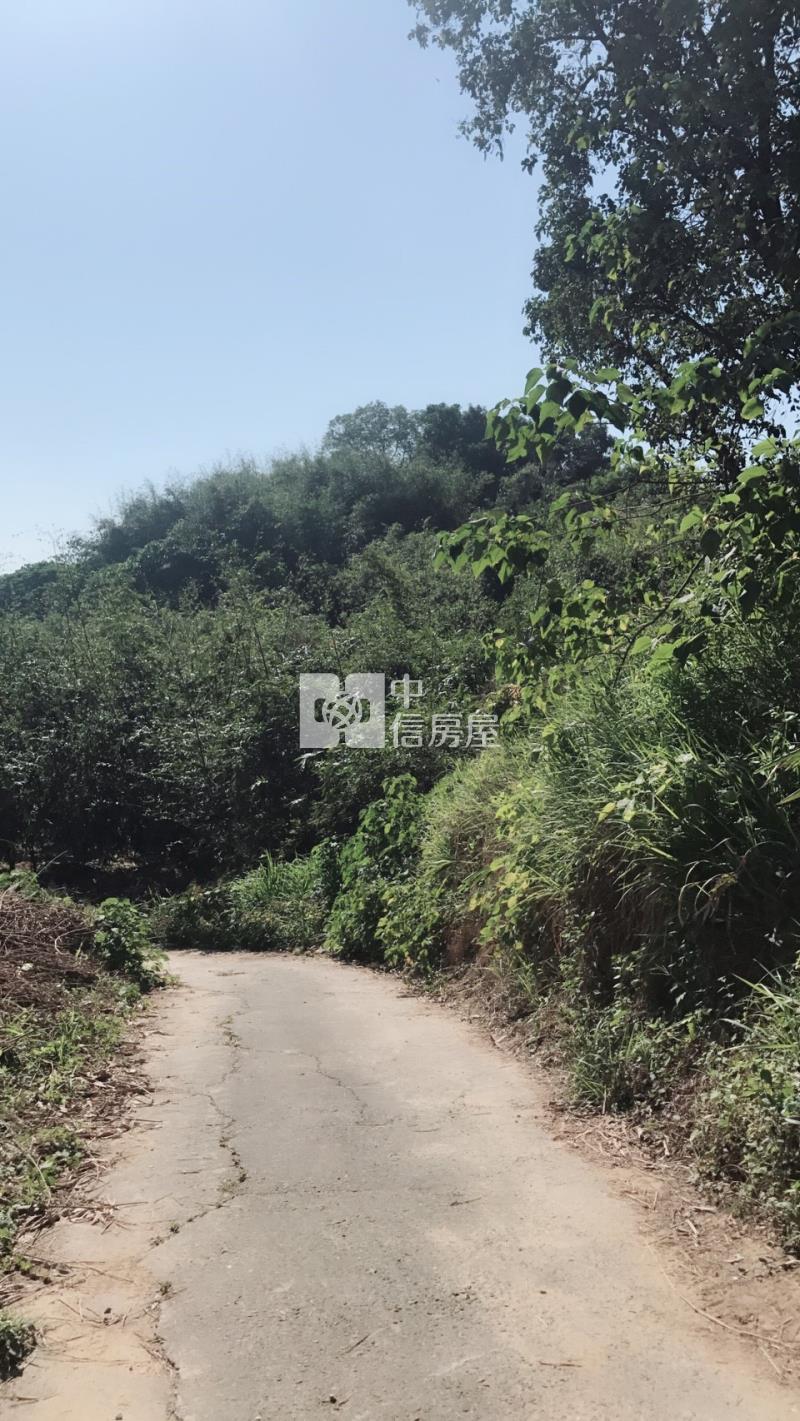關廟便宜農地房屋室內格局與周邊環境