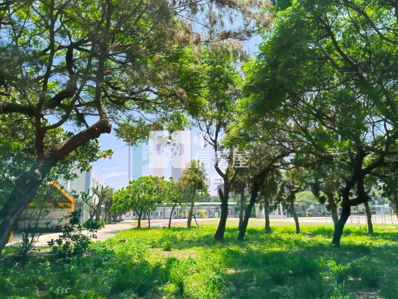 【豐禾】樹林國小旁甲建房屋室內格局與周邊環境