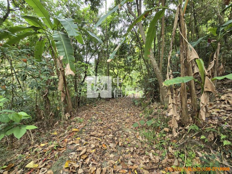 竹崎便宜山坡地房屋室內格局與周邊環境