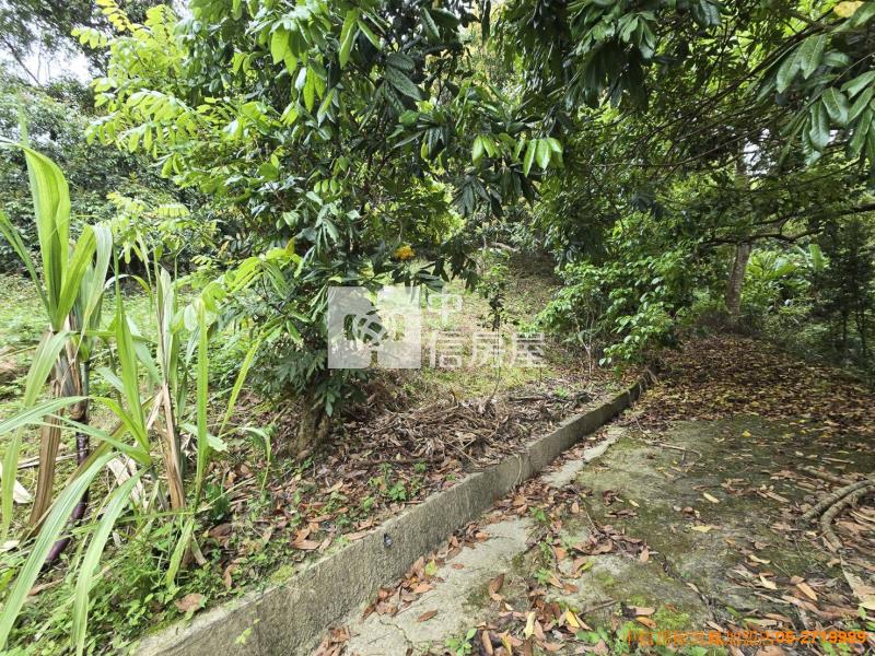 竹崎便宜山坡地房屋室內格局與周邊環境