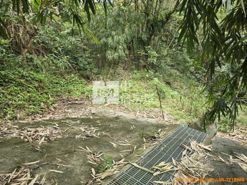 竹崎便宜山坡地房屋室內格局與周邊環境