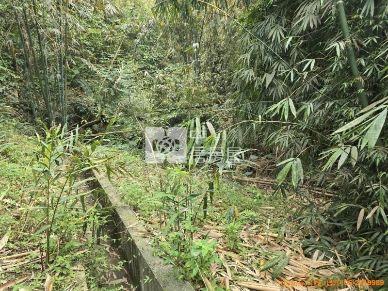 竹崎便宜山坡地房屋室內格局與周邊環境