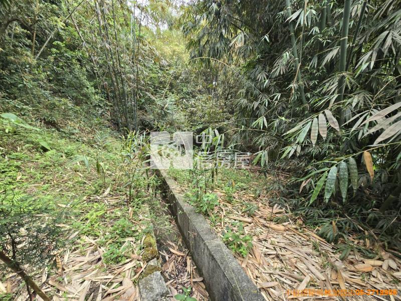 竹崎便宜山坡地房屋室內格局與周邊環境