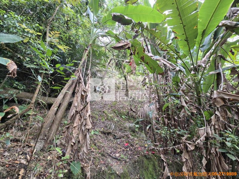 竹崎便宜山坡地房屋室內格局與周邊環境
