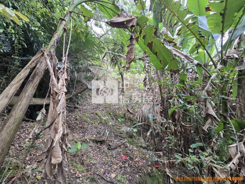 竹崎便宜山坡地房屋室內格局與周邊環境