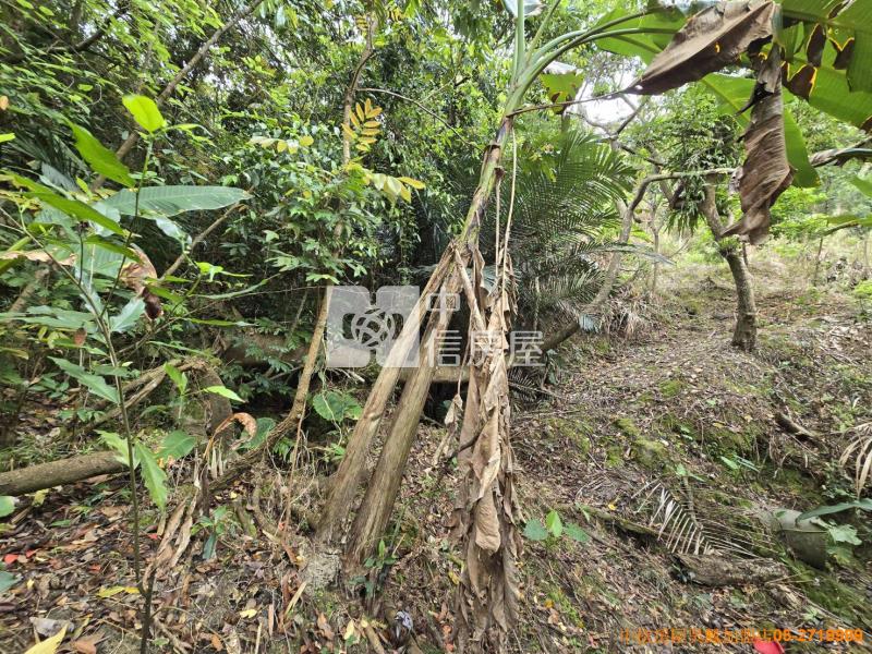 竹崎便宜山坡地房屋室內格局與周邊環境