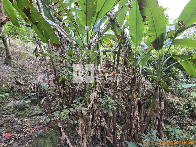 竹崎便宜山坡地房屋室內格局與周邊環境