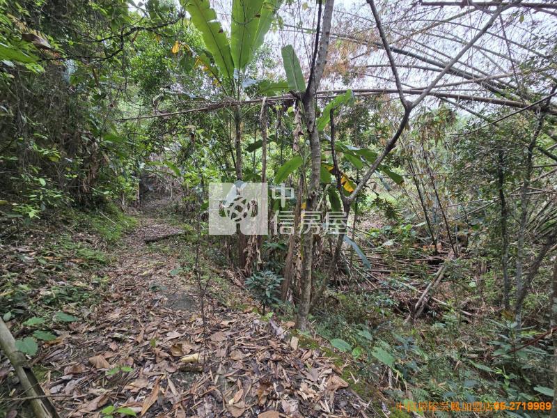 竹崎便宜山坡地房屋室內格局與周邊環境